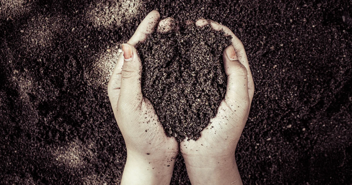 The Dirty Secret: Why Bagged Dirt is Ruining Your Container Garden